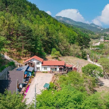 Samcheok Deulre Pension Екстер'єр фото